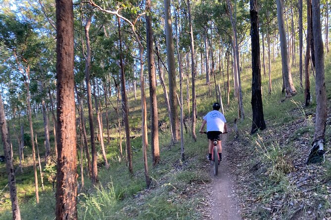 Brisbane Electric Mountain Bike Experience Tour - Riding the Gap Creek trails