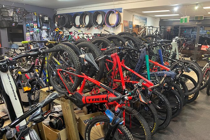 Brisbane Electric Mountain Bike Experience Tour - Mount Coot-Tha Summit Lookout