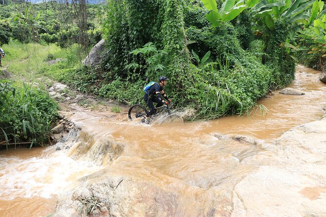 Buffalo Soldier Full Day Mountain Biking Tour Chiang Mai - Lunch, snacks, and the long middle of the day