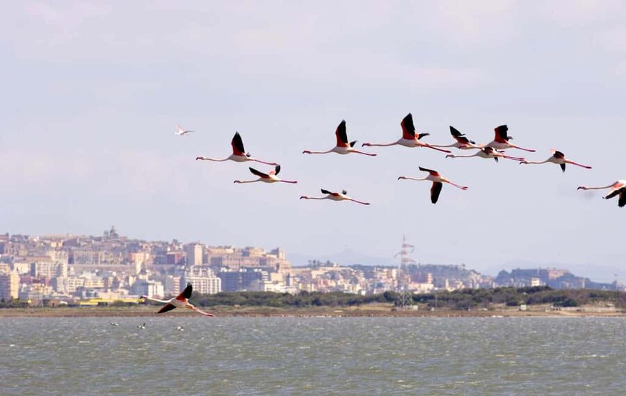 Cagliari: Bike & Hike Tour - Hiking the Devil’s Saddle above the Gulf