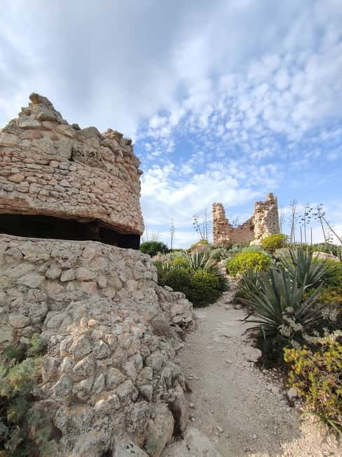 Cagliari: Bike & Hike Tour - Should you book the Bike and Hike Tour?