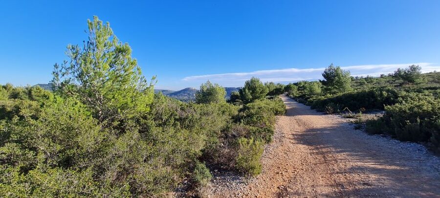 Calanques National Park: E-Mountain Bike with Virtual Guide - Who should choose the four, six, or eight-hour option?