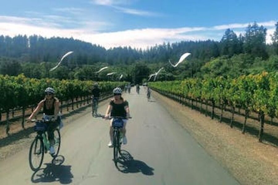 Calistoga: Napa Valley Cycling and Winery Tour with Picnic - Why Calistoga works so well by bicycle