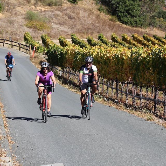 Calistoga: Napa Valley Cycling and Winery Tour with Picnic - How the $275 price measures up