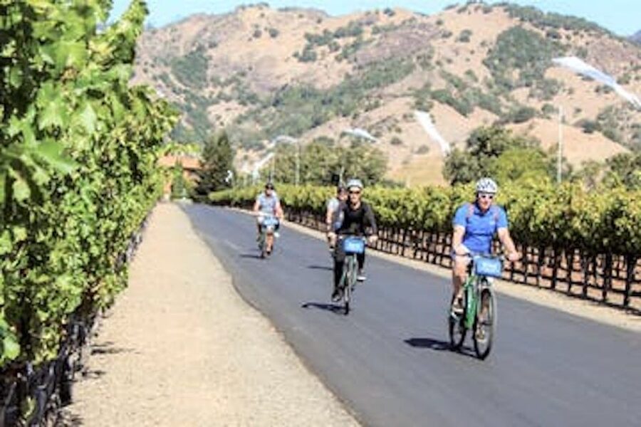Calistoga: Napa Valley Cycling and Winery Tour with Picnic - Who should book this Calistoga cycling tour