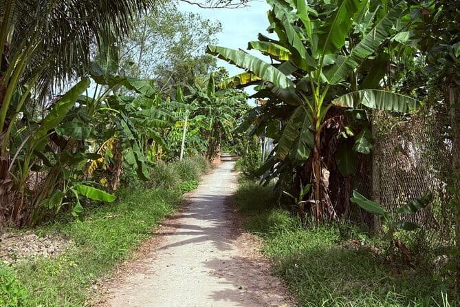Can Tho Countryside Bike Tour with Fruit Garden Visit - Vườn Sinh Thái Ba Láng and the taste of the Delta