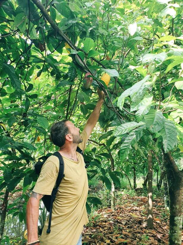 Can Tho: Countryside Cycling Tour with Cocoa Farm Visit - Why this Can Tho bike ride is worth your afternoon