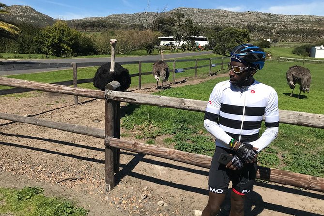 Cape Peninsula Cycle Tour - Is $149.43 a fair price?