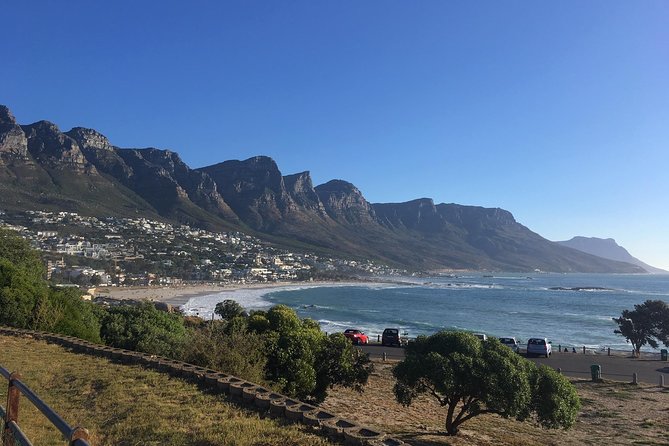 Cape Peninsula E-bike Cycle with Vehicle - Private Tour - Cape Point gives you the biggest ride