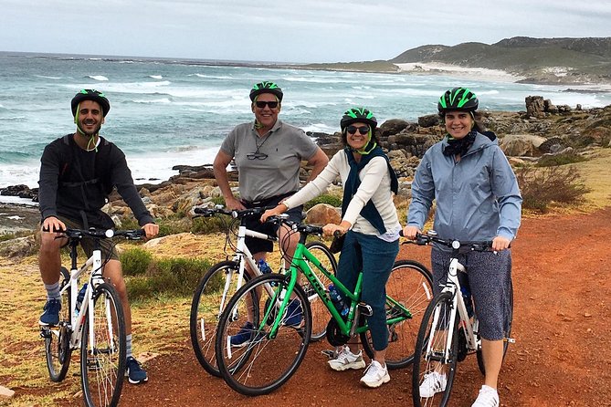 Cape Peninsula E-bike Cycle with Vehicle - Private Tour - Lunch with a harbor view in Simon’s Town