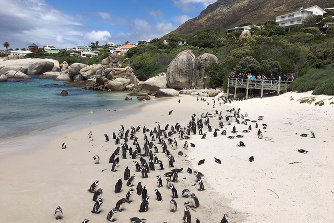 Cape Peninsula E-bike Cycle with Vehicle - Private Tour - Starting along Camps Bay’s beachfront