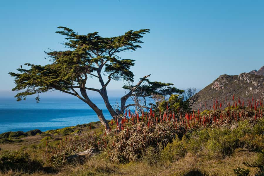 Cape Town: 9-hour Cape Point Private Guided Cycling Tour - Reaching the Cape of Good Hope