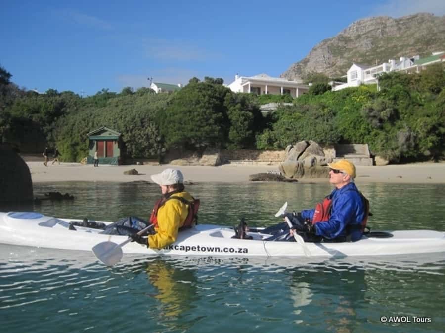 Cape Town: 9-hour Cape Point Private Guided Cycling Tour - Who Will Enjoy This Day Most