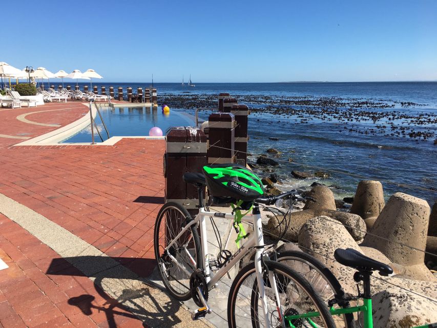 Cape Town Guided City Cycling Heritage Tour - Private Tour - Company Gardens, Parliament, coffee, and cake