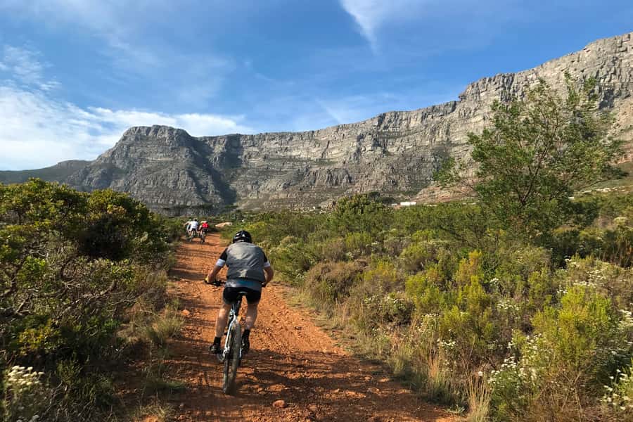 Cape Town: Mountain Biking Trip along Table Mountain - Kirstenbosch and the forest tracks