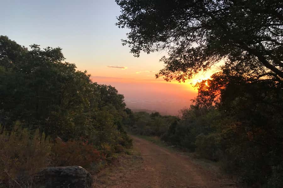Cape Town: Mountain Biking Trip along Table Mountain - Starting at Constantia Neck