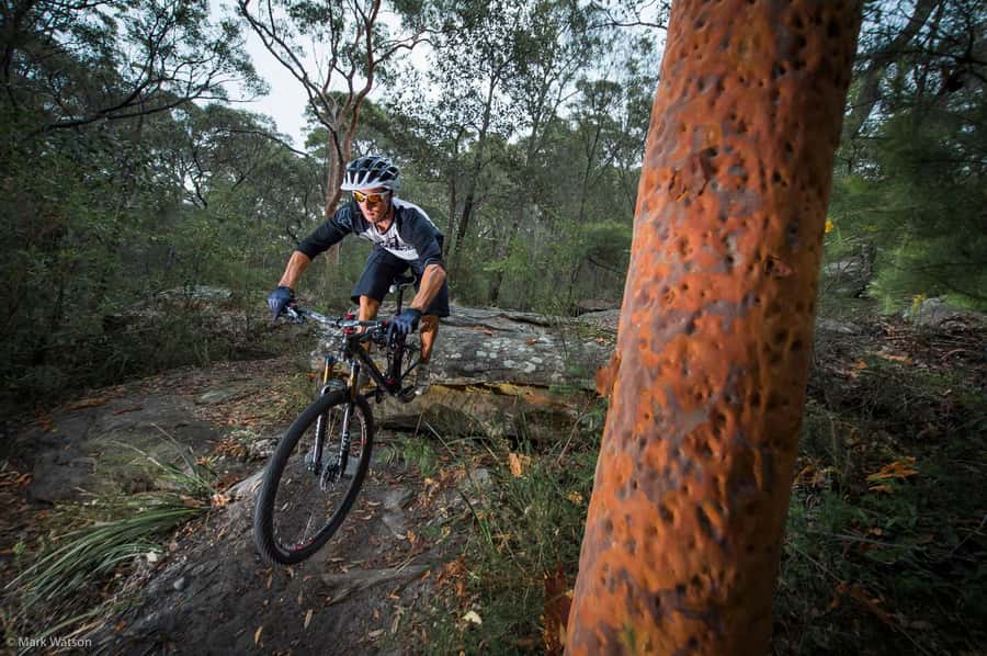 Cape Town: Peninsula Private Mountain Bike Tour with Ex-Pro - Key points to know before you ride