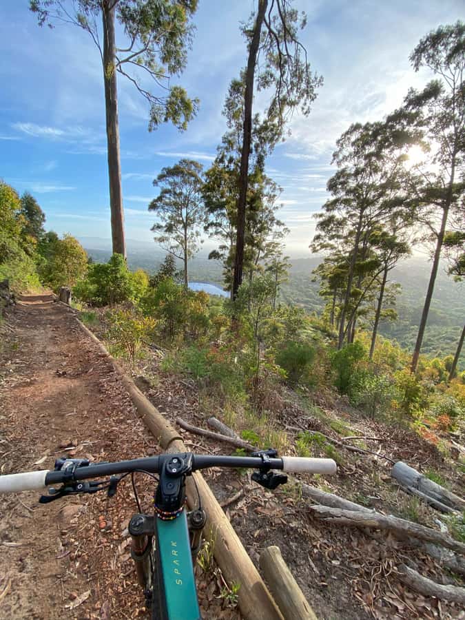 Cape Town: Peninsula Private Mountain Bike Tour with Ex-Pro - Coaching for riders who want to improve