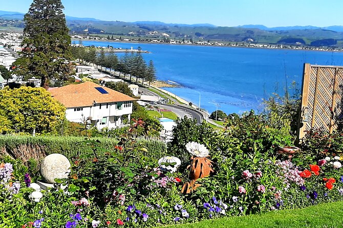 Cape Winery Cycle Tour - 6 wineries, self-guided - Do not try to visit every winery