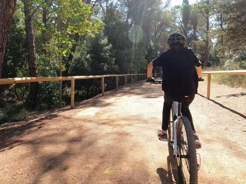 Cassano: Mercadante Forest Immersion Easy E-Bike Ride - Key points to know before you book