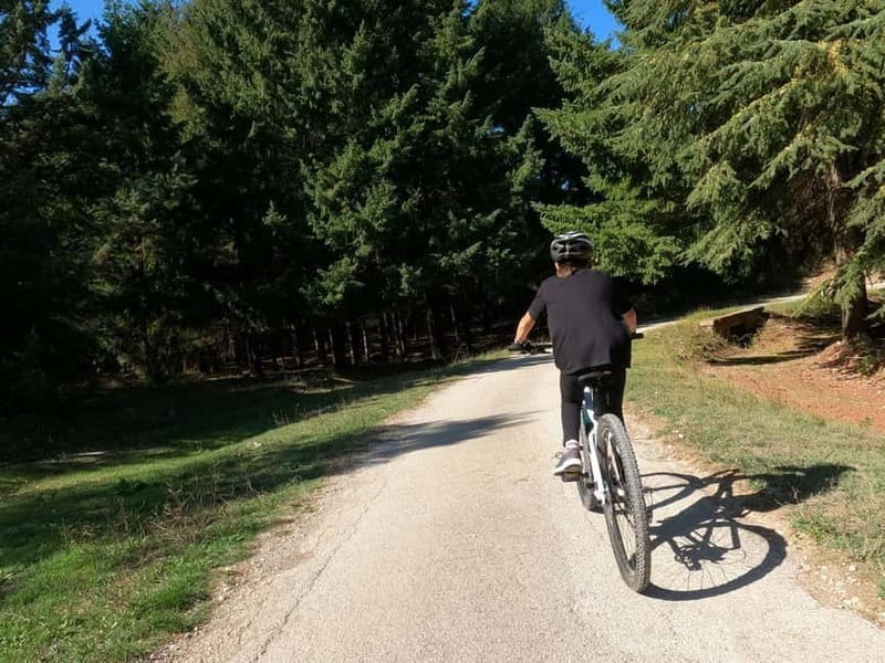 Cassano: Mercadante Forest Immersion Easy E-Bike Ride - What to bring and what not to expect