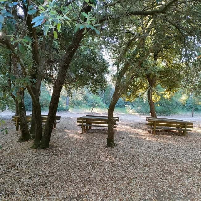 Cassano: Mercadante Forest Immersion Easy E-Bike Ride - Should you book the Mercadante Forest e-bike ride?