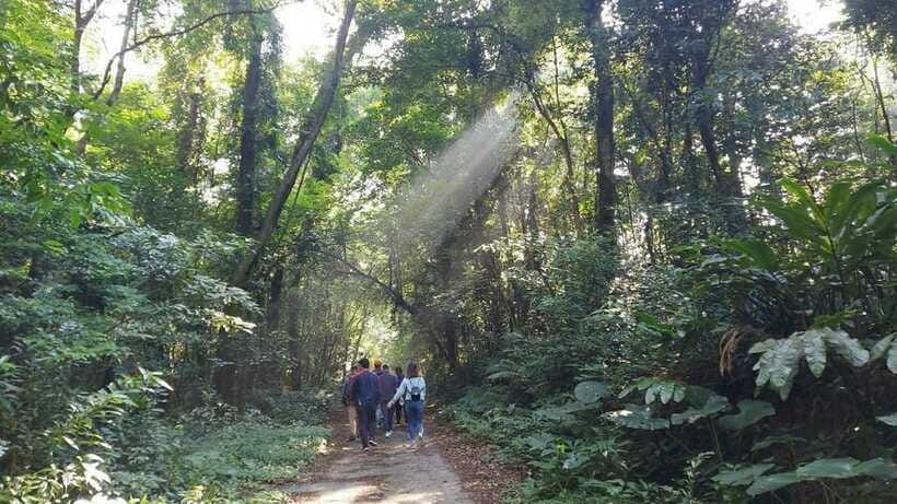 Cat Ba: National Park Day Trip with Cycling and Kayaking - Cycling from Viet Hai toward the harbor