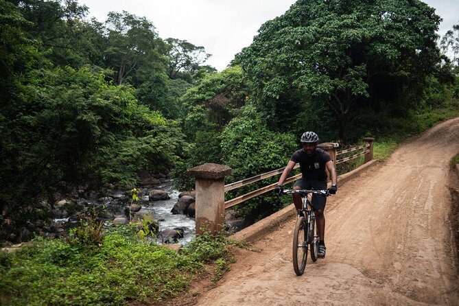 Chagga Villages in Mount Kilimanjaro Cycling Day Trip - Why this Moshi cycling trip feels different