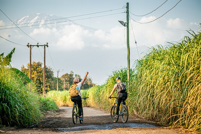Chemka Hotpsrings E-Bike Day Trip - From Moshi streets to sugarcane country
