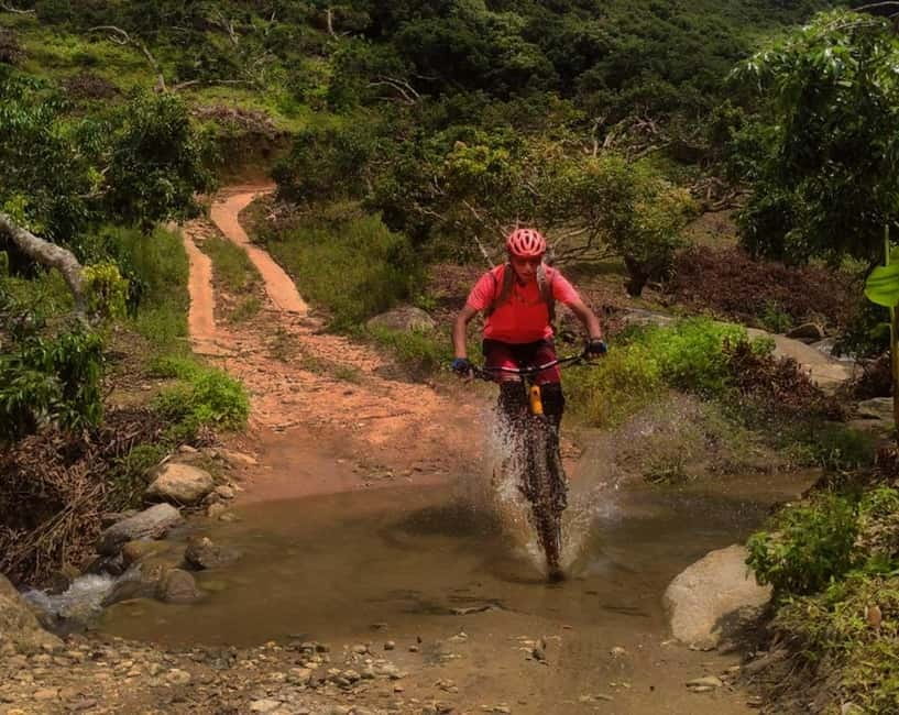 Chiang Mai: 20km Downhill Mountain Biking Challenge Suthep M - Key points at a glance