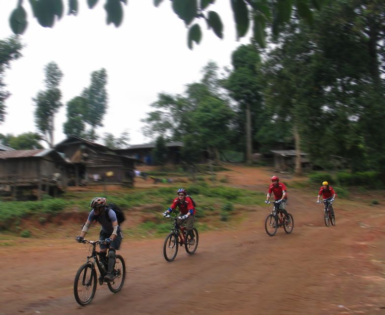 Chiang Mai: 20km Downhill Mountain Biking Challenge Suthep M - Forest tracks and the first hour of riding