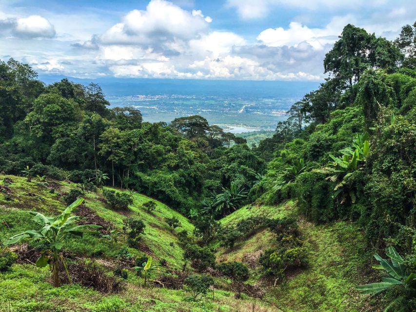 Chiang Mai: 20km Downhill Mountain Biking Challenge Suthep M - Lunch and swimming at Huay Tueng Thao Lake