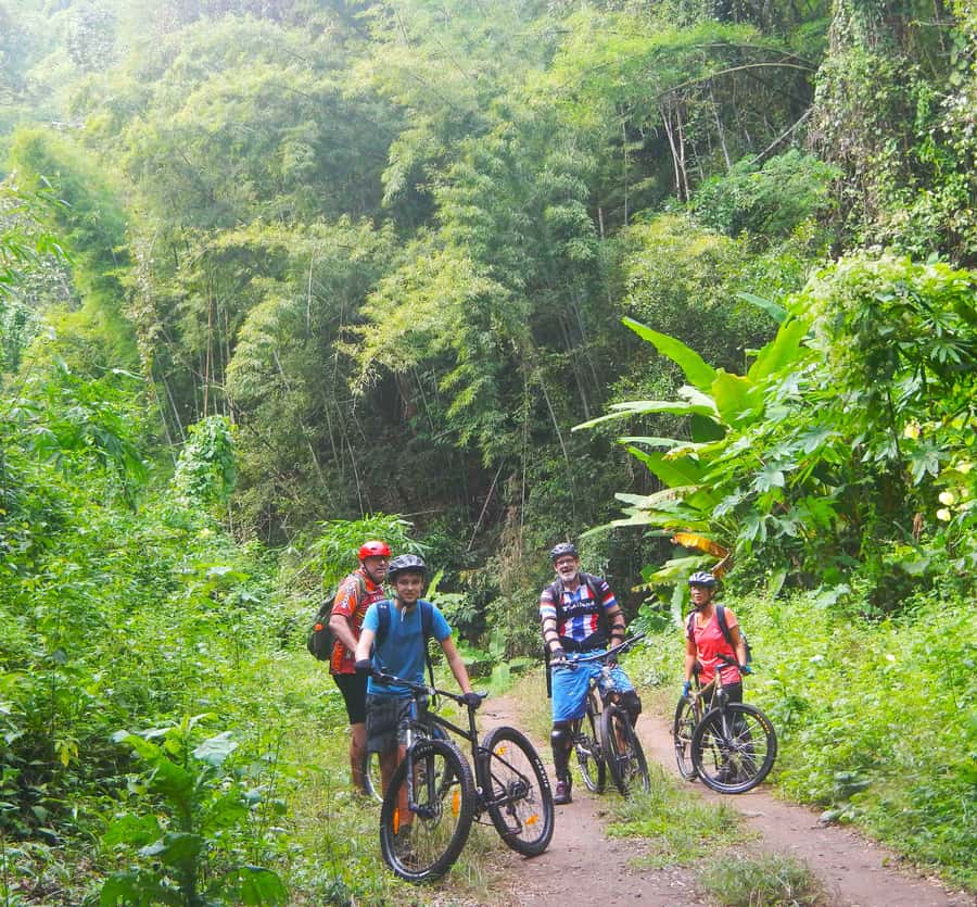 Chiang Mai: 21 km DH,XC Mountain Biking from Takkatan Caves. - The elephant conservation area and the long temple stop