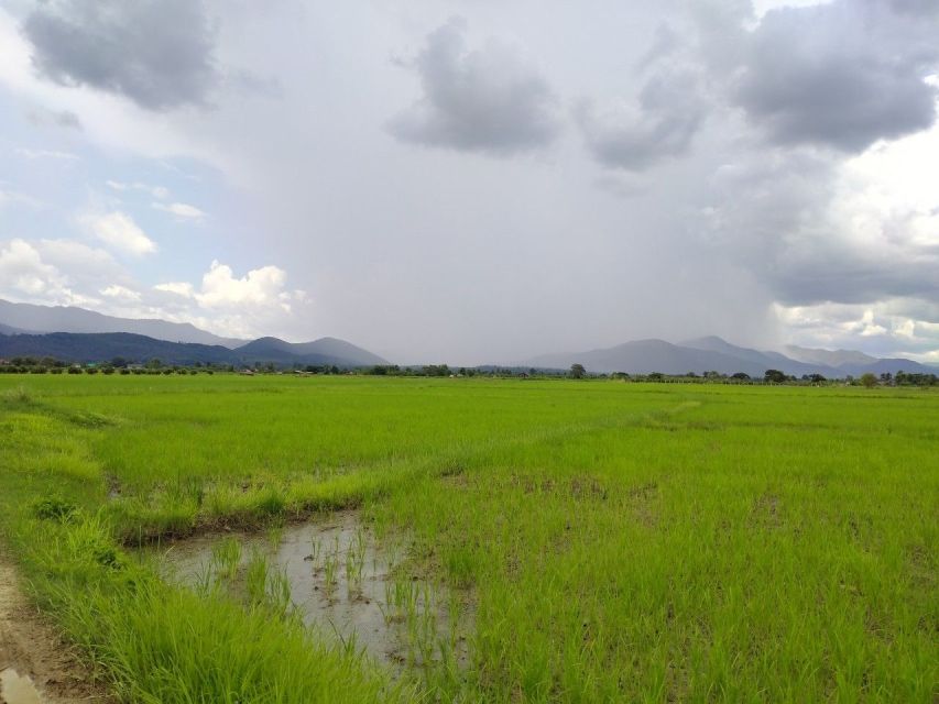 Chiang Mai: 25km Leisure Mountain Biking & Jungle Kayaking - Mae Taeng Forest Reserve by water