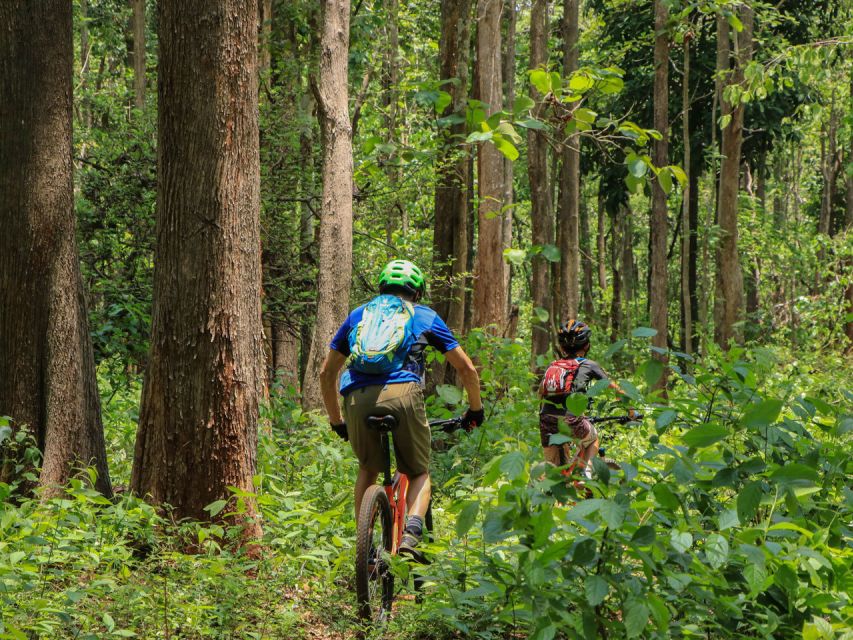 Chiang Mai: Boat Ride and Cycling Tour to Sticky Waterfall - Key points to know before booking