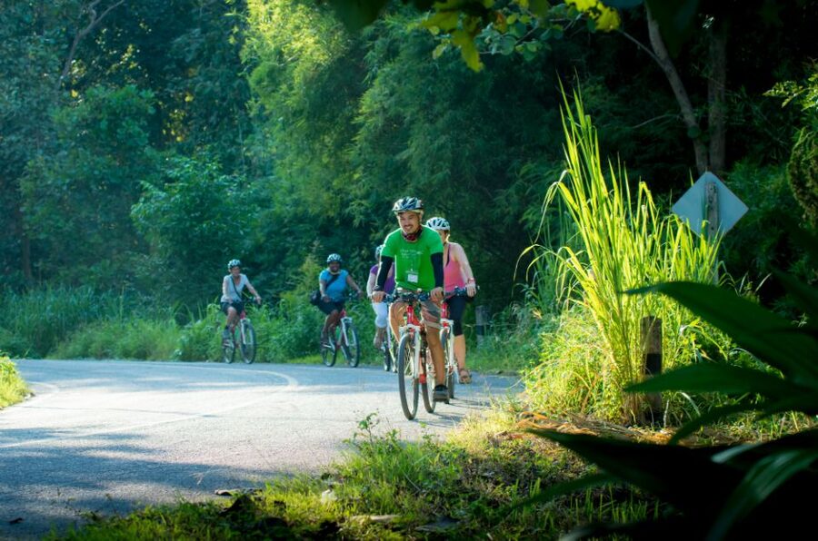 Chiang Mai Countryside E-bike Ride with Expert Guide & Lunch - How difficult is the cycling?