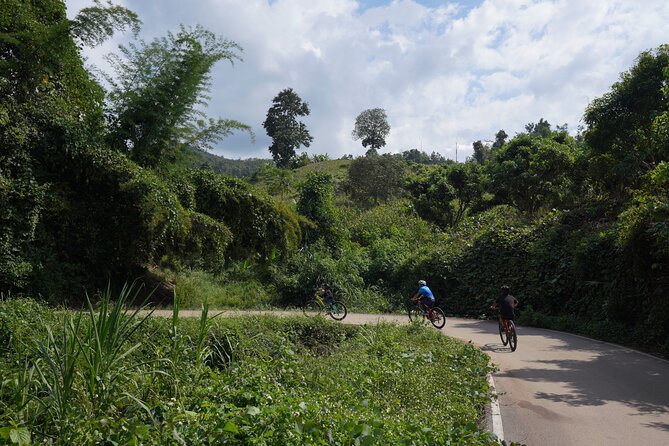 Chiang Mai: Cycling Nam Phare Countrysides, Breezy-Relax & Lunch - How the $41.99 price measures up