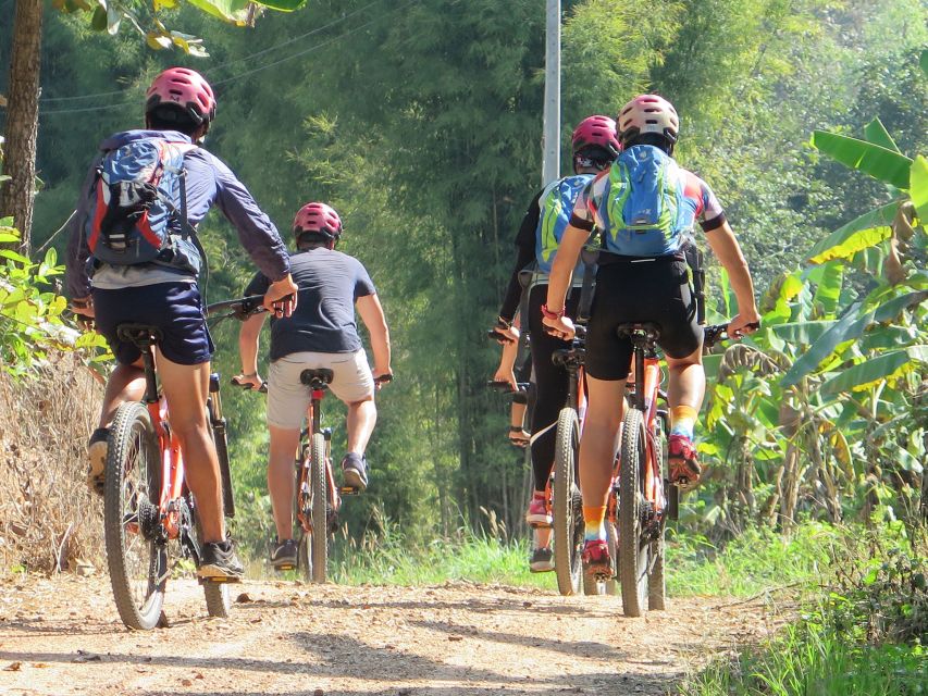 Chiang Mai Fields of Gold Cycling Tour - National park scenery without extra admission costs