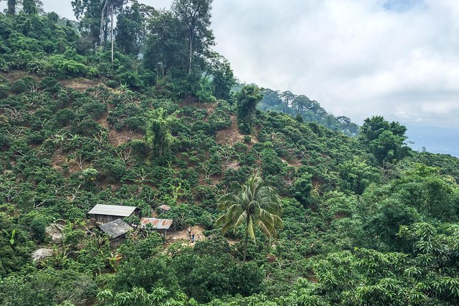 Chiang mai Hike & Downhill Bike Adventure –Suthep National Park - Khun Chang Khian and the first meal