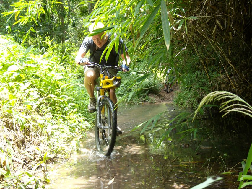Chiang Mai: Rainforest Guided Mountain Biking Tour - Should you book the Chiang Mai rainforest ride?