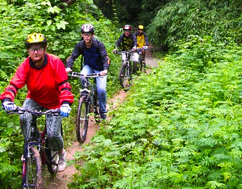 Chiang Mai: Rainforest Guided Mountain Biking Tour - From Chiang Mai to the Doi Saket forest