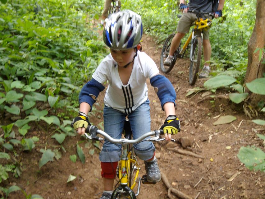 Chiang Mai: Rainforest Guided Mountain Biking Tour - What the $62 price actually covers