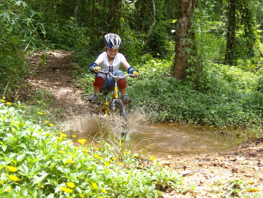 Chiang Mai: Rainforest Guided Mountain Biking Tour - Who will enjoy this mountain-bike outing