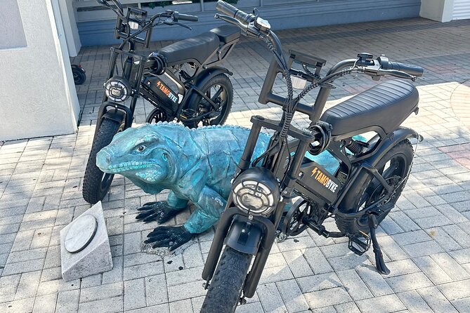Coastal E-Bike Adventure: Full-Day Self-Guided Tour Grand Cayman - Key points before you book