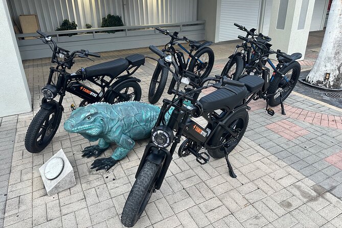 Coastal E-Bike Adventure: Full-Day Self-Guided Tour Grand Cayman - Tortuga Rum Cake Factory ends the route on a sweet note