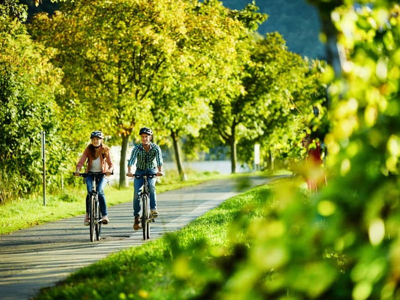 Cochem: Bike and Boat Tour with Picnic and Wine Tasting - Key points to know before you book