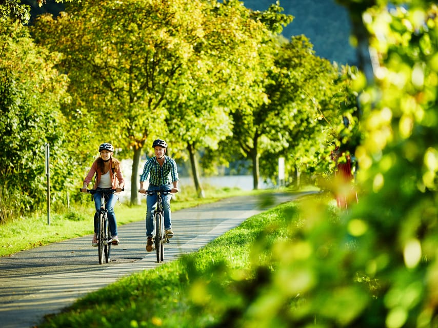 Cochem: Bike and Boat Tour with Picnic and Wine Tasting - Three wines and a bottle to take home