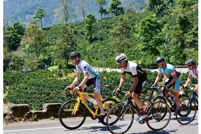 Colombia cycling trip - Day 1: Landing in Rionegro and settling in