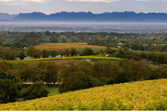 Constantia Hidden Gem Cycle Half Day - Private Tour - Starting at Groot Constantia at 9:00 a.m.