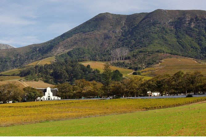 Constantia Hidden Gem Cycle Half Day - Private Tour - Choosing between the Constantia estates